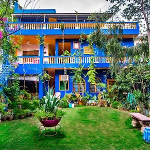 The Coral Tree Boutique India